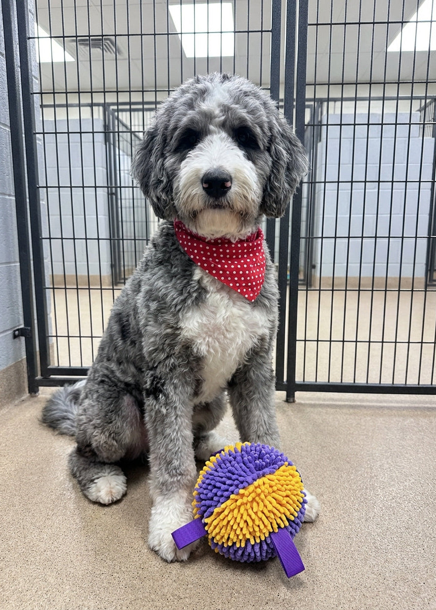 Hero Number #2: football-shaped toy