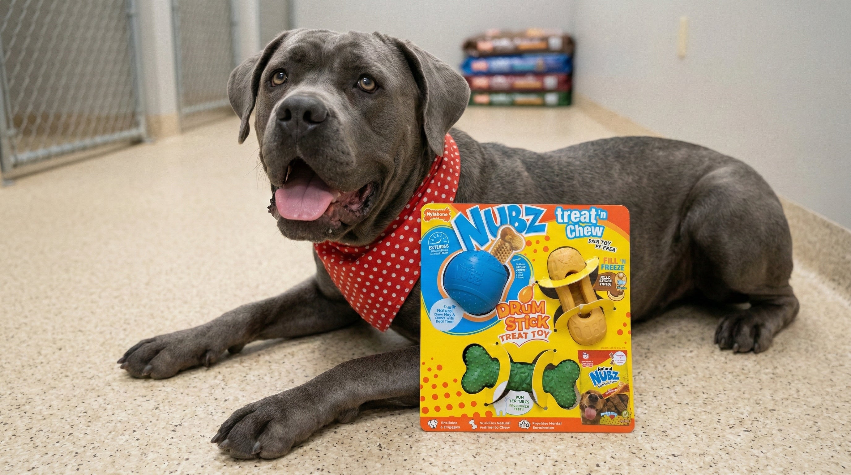 Treat N' Chew Dog Toy Collection Number #6