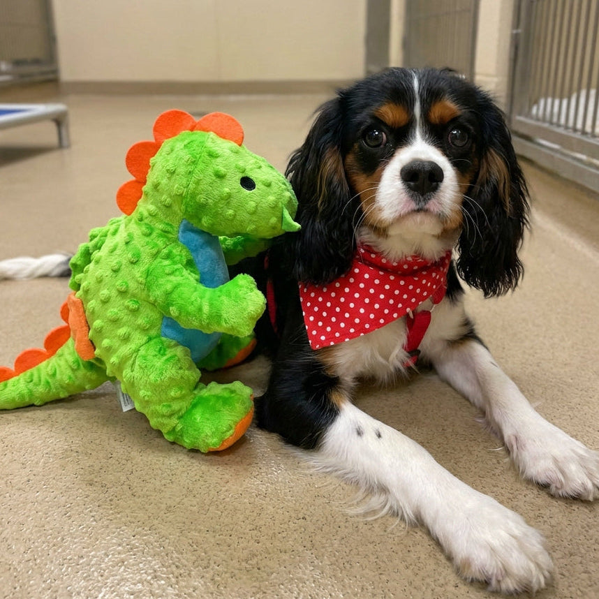 Animal Number #3, Green Dino