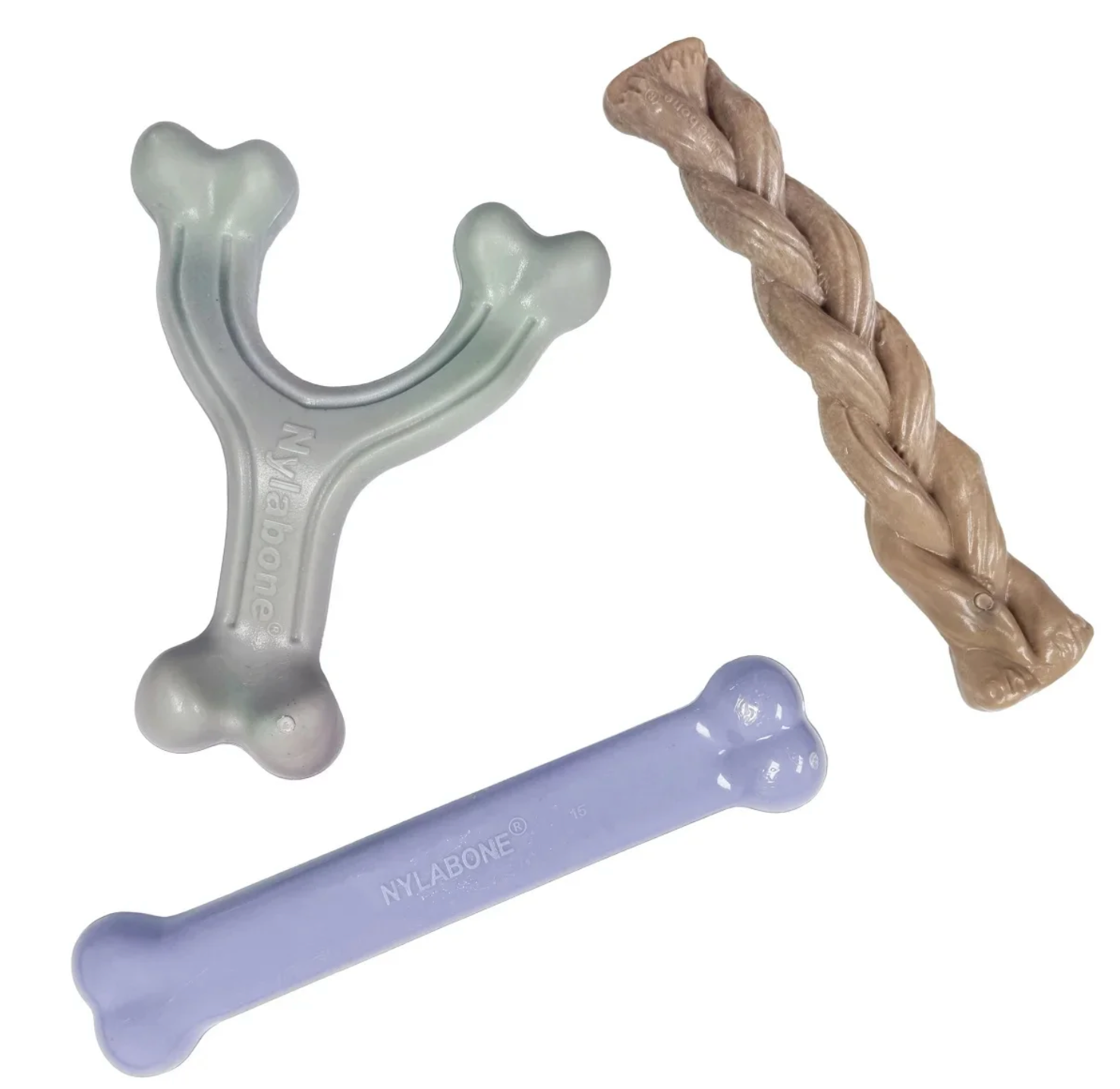 Ocean Dog Collection Number #1, 3 Count