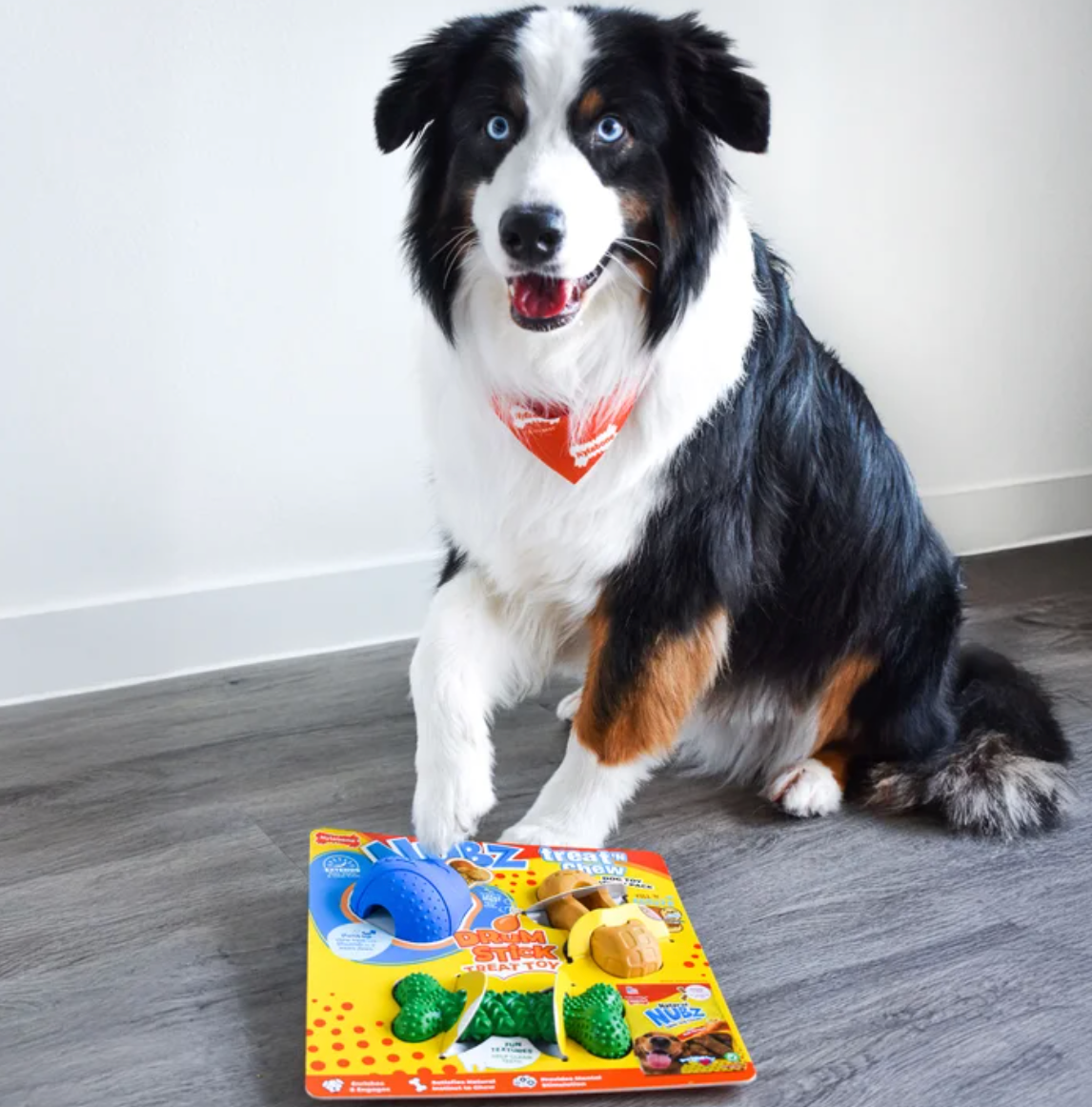 Treat N' Chew Dog Toy Collection Number #6