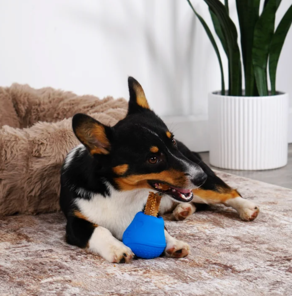 Treat Number #2: Drum Stick Treat Toy