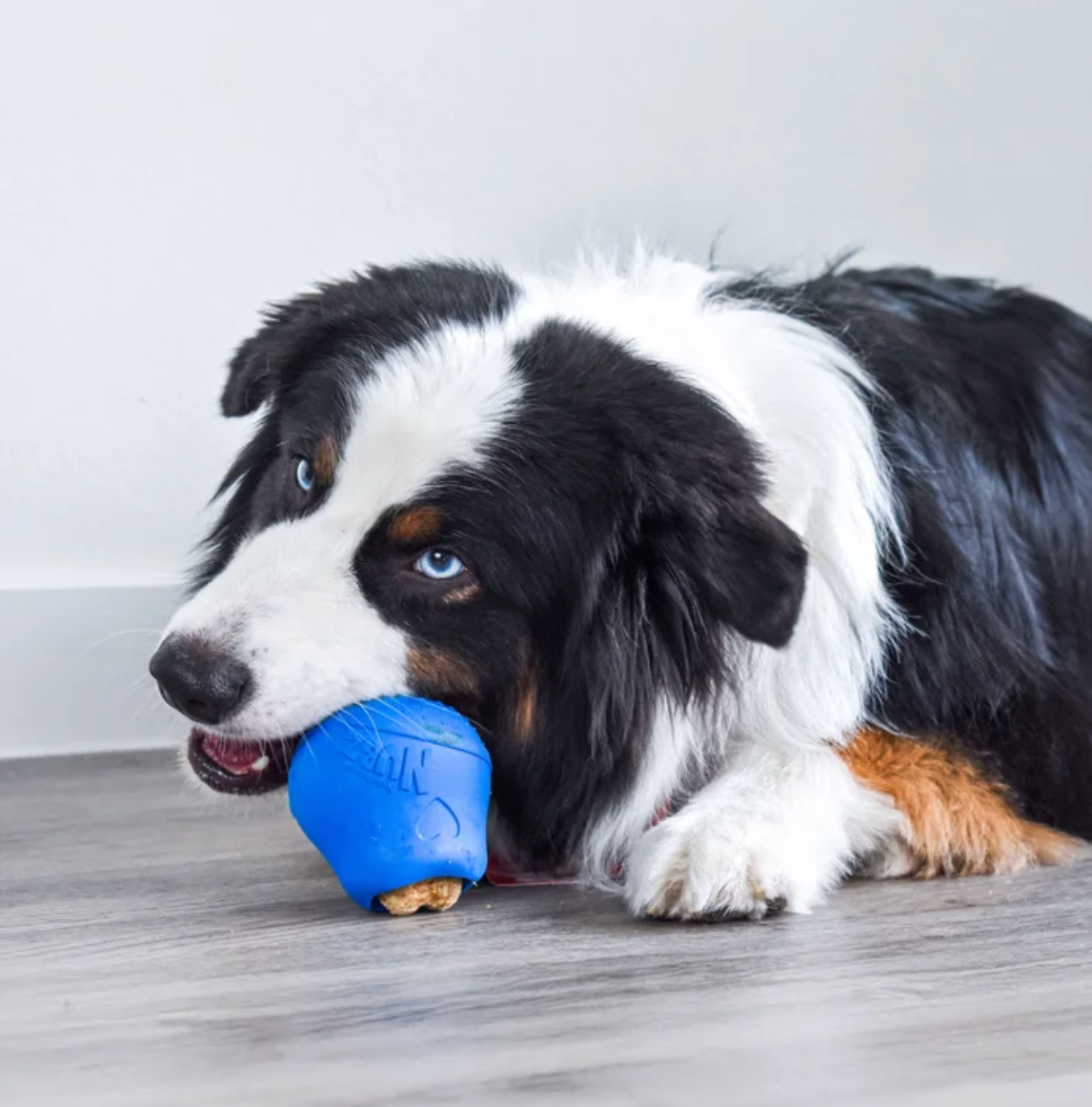 Treat Number #2: Drum Stick Treat Toy
