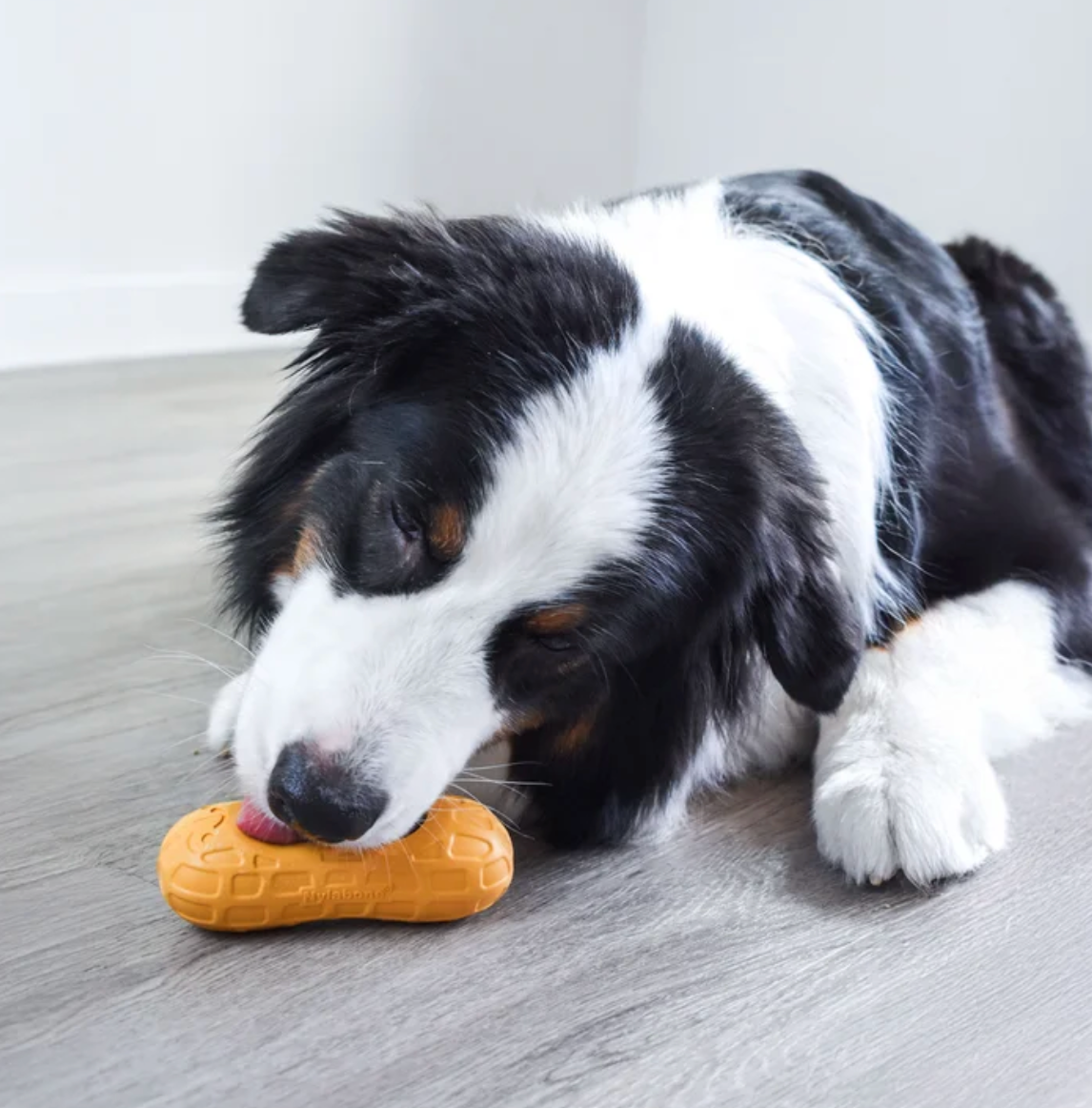 Treat Number #1: Peanut Fill’n Freeze Toy