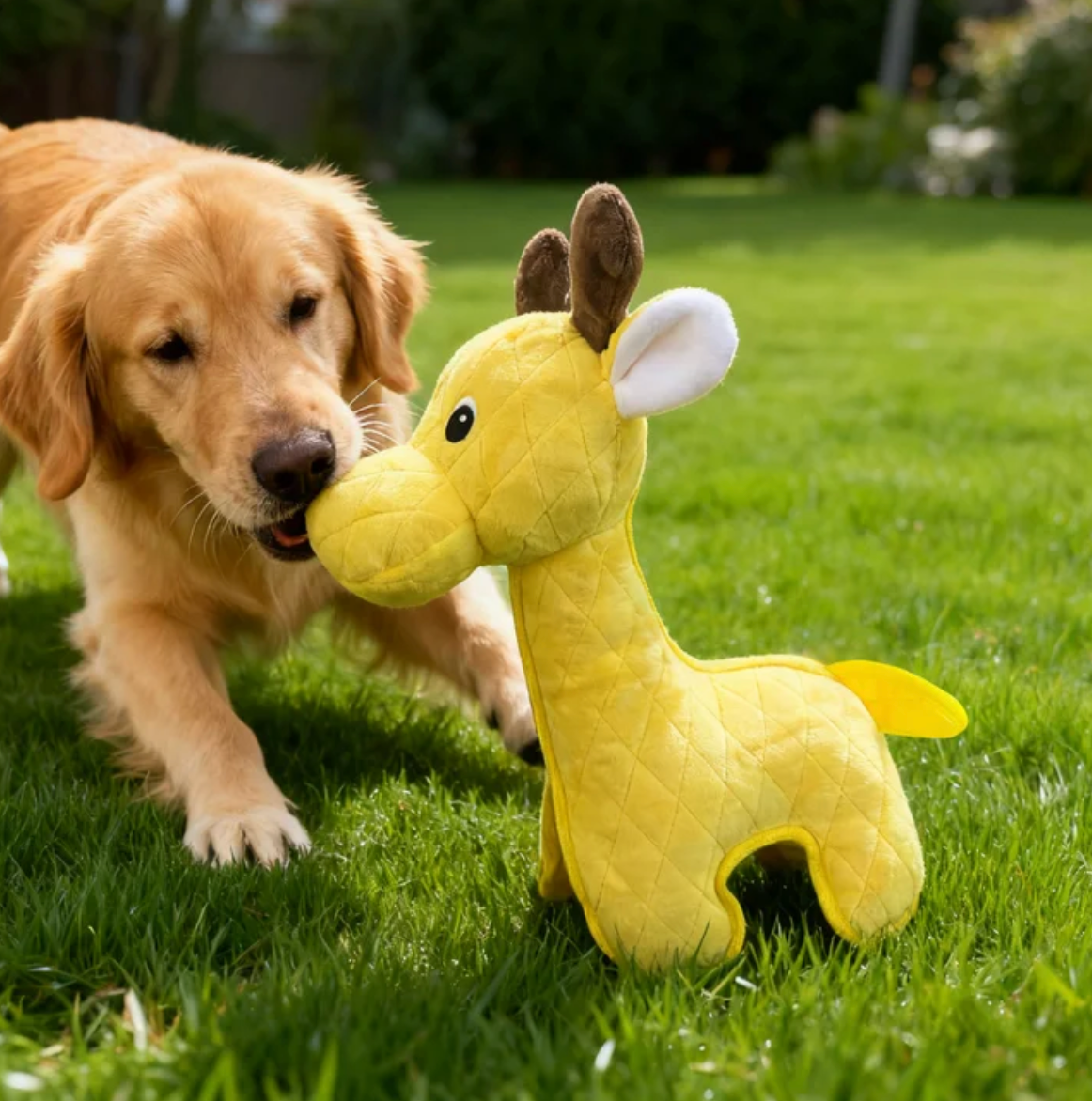 Zeus Number #4 :Giraffe Dog Toy, Yellow
