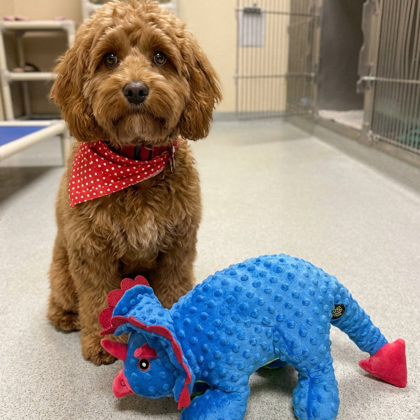 Animal Number #1, Blue Dinosaur