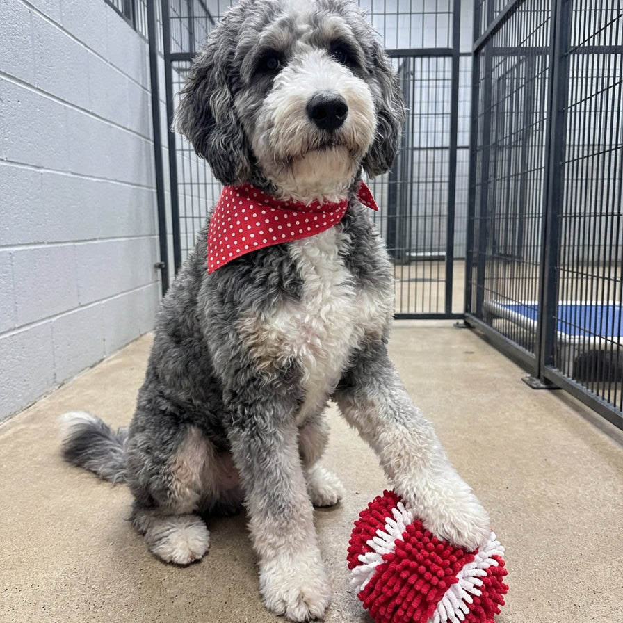 Hero Number #1: Round basketball toy